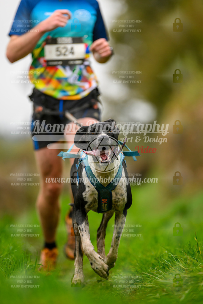 MompixPhotography_20TSB_E8_Run-167 | PayLife