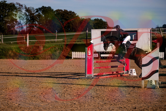 2026_10_03_Siefer-Hof_171851_Z81_16638603 | Professionelle Reitsport-, Turnier- und Eventfotografie von Robert Broda. Galerien mit ausgewählten und bearbeiteten Bildern direkt online ansehen und bestellen.