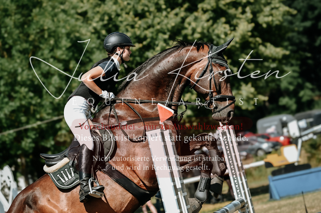 DSC_1588 | Pferde- und Turnierfotografie in Westsachsen. Pferdeportraits, Auftragszeichnungen und intuitive Kunst.