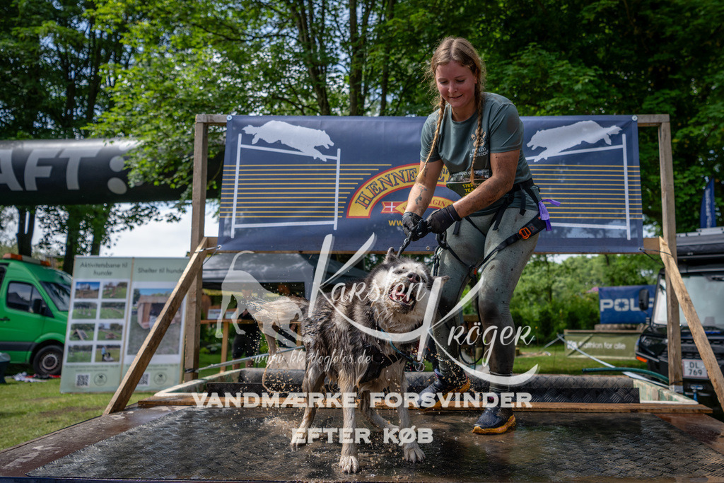 1135_ZZ94682 | kk-dogfotos