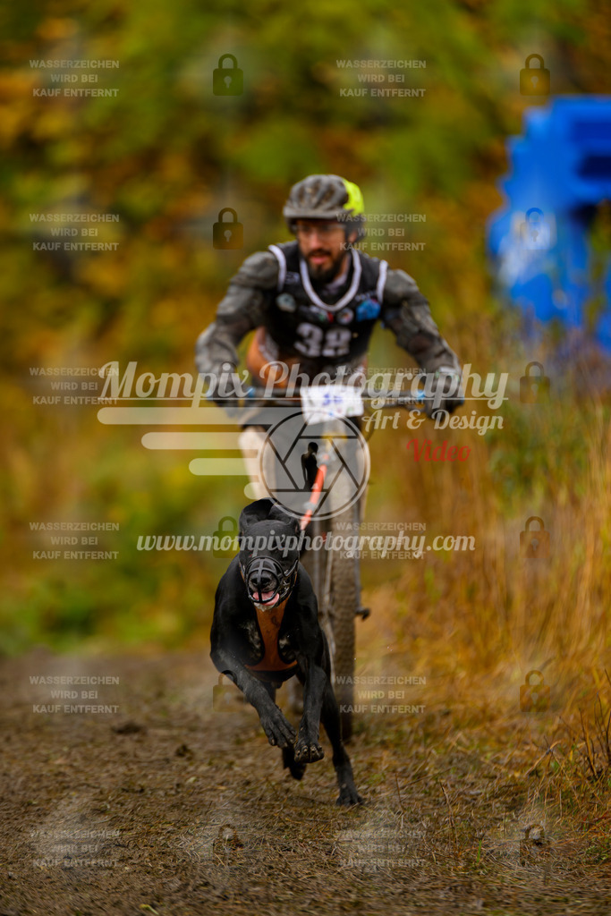 MompixPhotography_ICF_WC_2024_SA_DS_-72 | PayLife