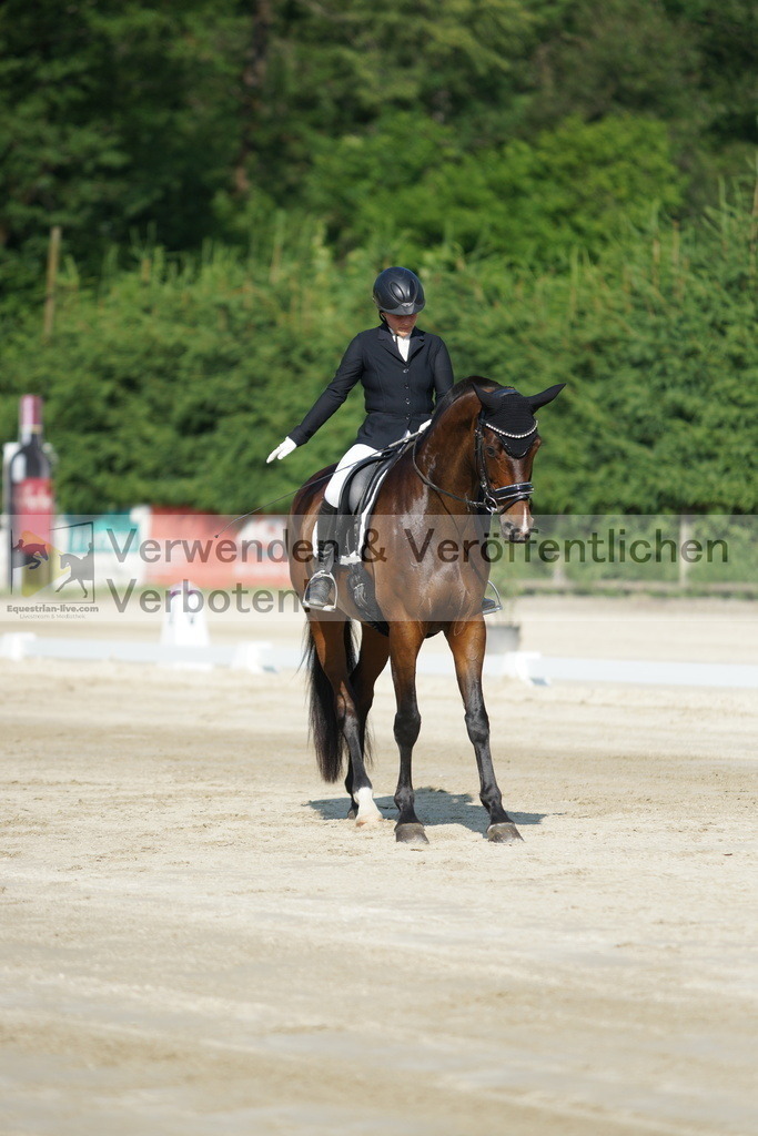 DSC01306 | equestrian-live-com