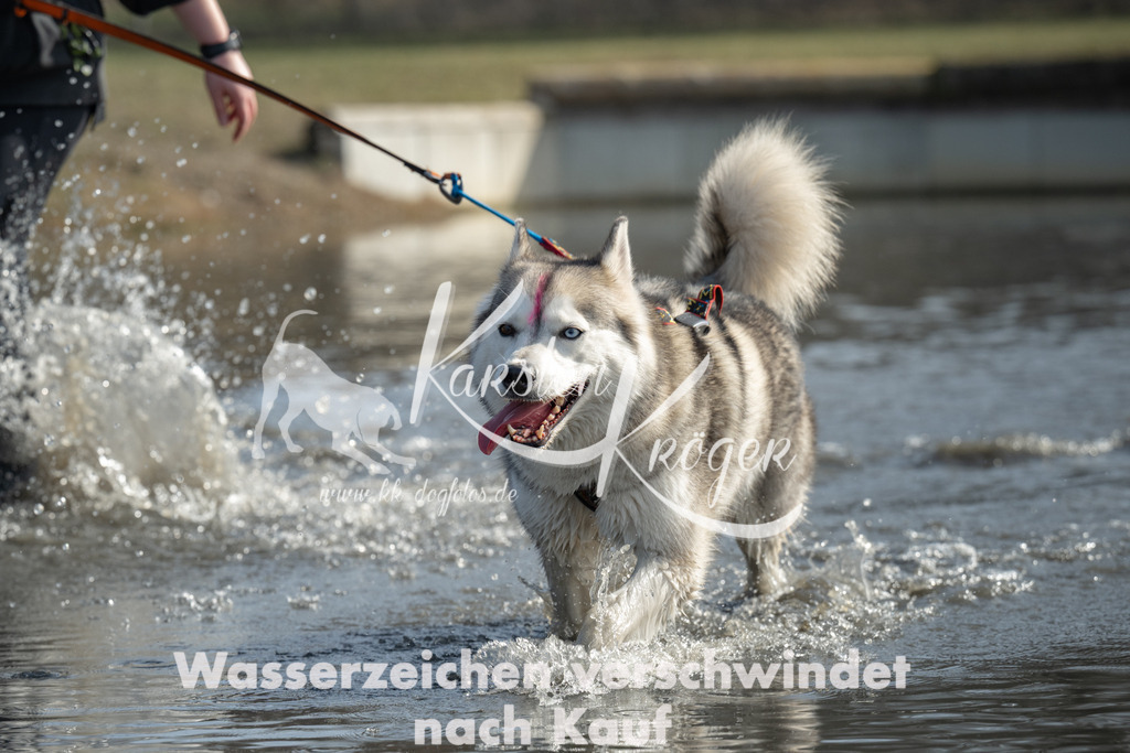 1140_ZZ95594-3 | kk-dogfotos