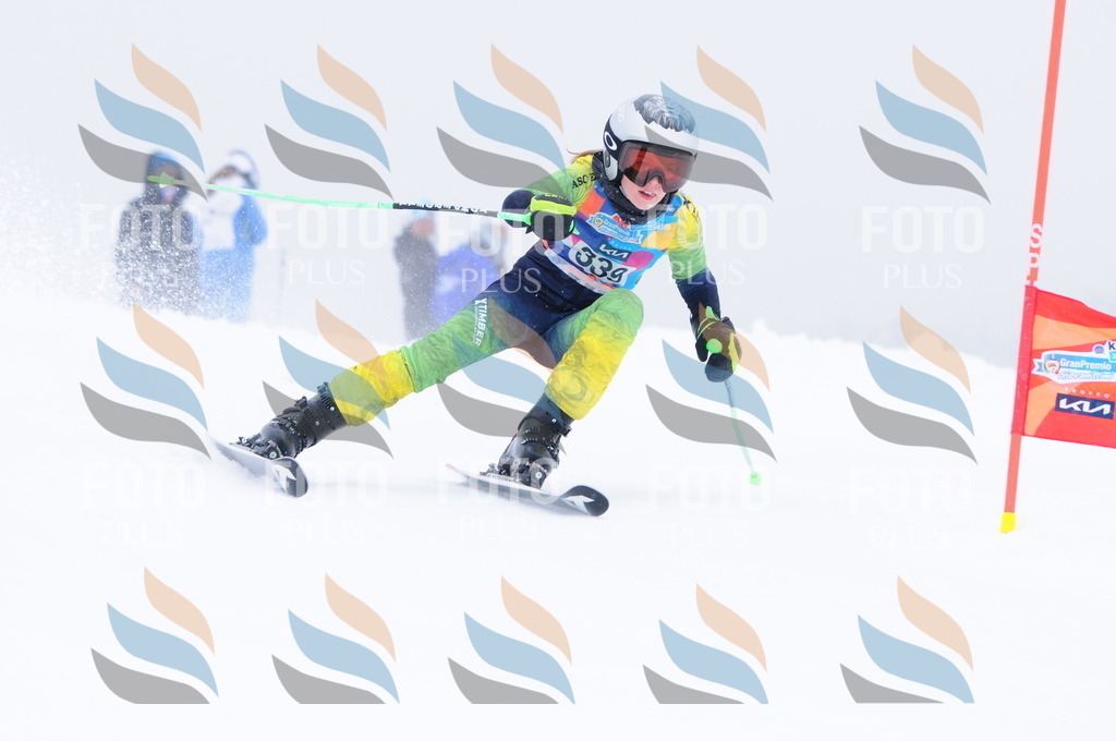 C3635 | holidayphoto