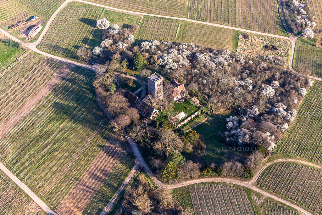 Vue aérienne: Château Saint-Paul à Wissembourg dans le département Bas Rhin, France. Photo: IMG_130940.jpg prise le 22/03/2022 par Werner Riehm/FLY-FOTO.eu – Résolution de l'original: 5059 x 3372 px