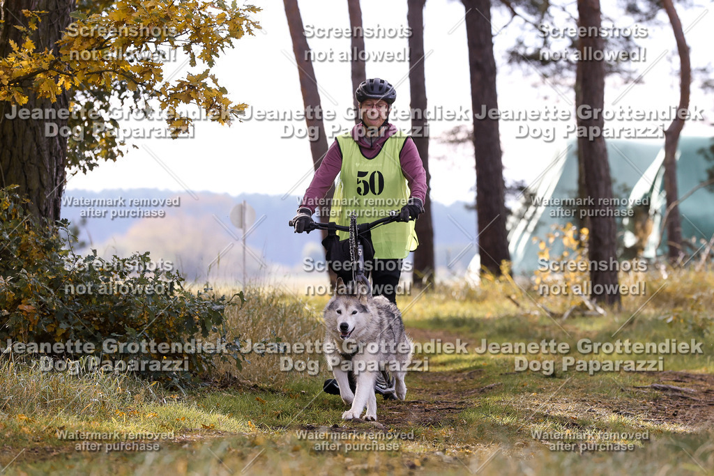 Dog Paparazzi - Elsholz 25 -186 | Dog Paparazzi Jeanette Grottendiek Fotografie & Videografie - Realisiert mit Pictrs.com