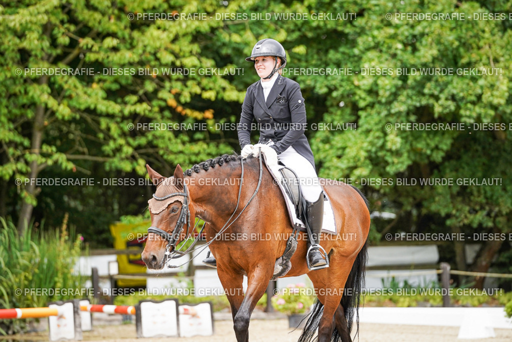 DSC05626 | Pferdegrafie