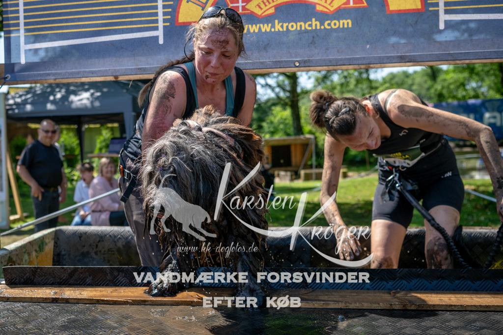 1228_ZZ91246 | kk-dogfotos