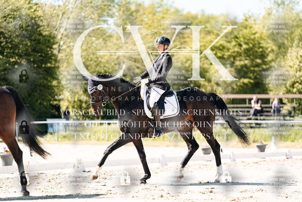 CK905030 | Turnierfotografie Pferdefotografie Trier Rheinland-Pfalz Pferdesport Reitsport Tierfotografie Sportfotografie Pferdevideo Pferdevideografie Equestrianvideography equestrianphotography  - Realisiert mit Pictrs.com