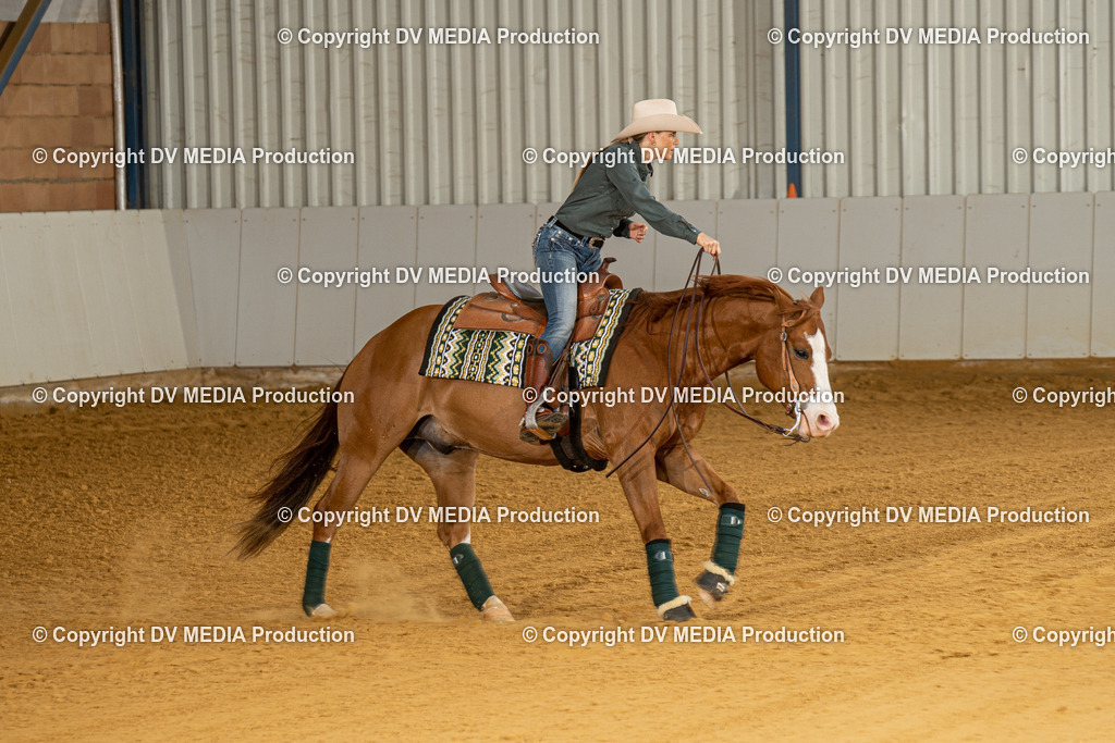 MIT00147 | dv-media-shop - Realisiert mit Pictrs.com