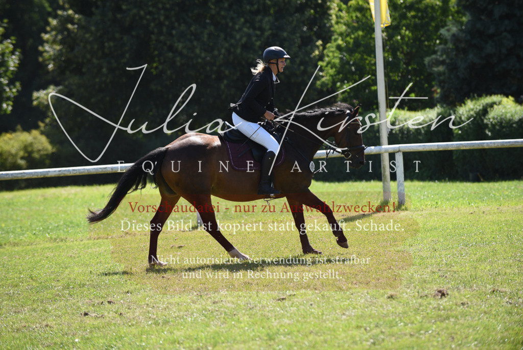 DSC_9553 | Pferde- und Turnierfotografie in Westsachsen. Pferdeportraits, Auftragszeichnungen und intuitive Kunst.