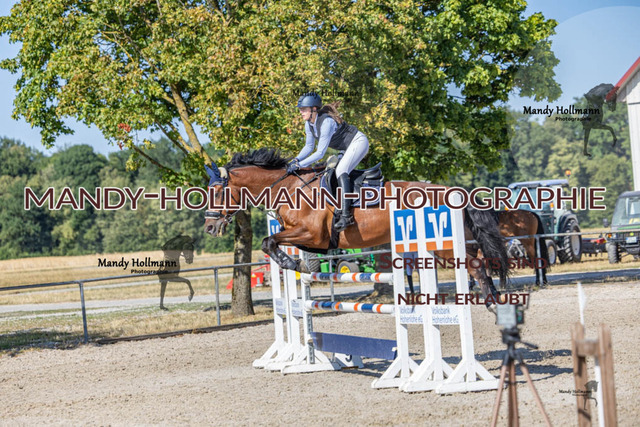 26-7-24 Amateur L-328 | mandyhollmannphotographie