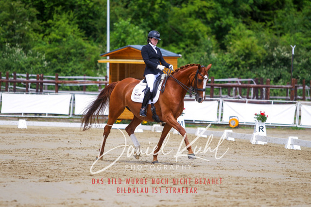 DKP47538 | Turniersportfotografie; Pferdefotografie; Dressurfotografie