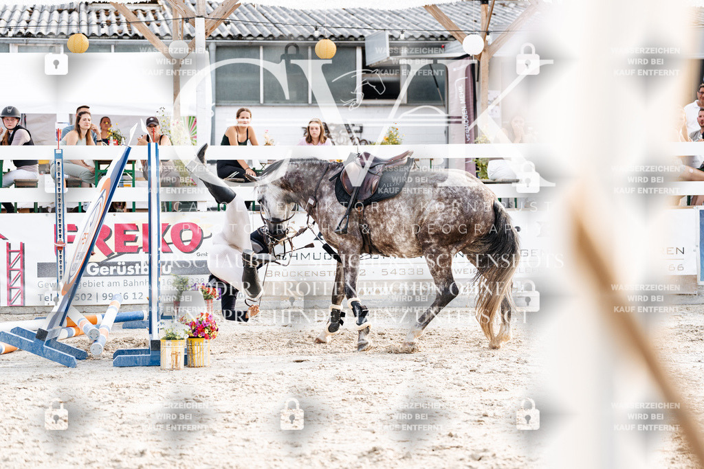 CK907051 | Turnierfotografie Pferdefotografie Trier Rheinland-Pfalz Pferdesport Reitsport Tierfotografie Sportfotografie Pferdevideo Pferdevideografie Equestrianvideography equestrianphotography  - Realisiert mit Pictrs.com