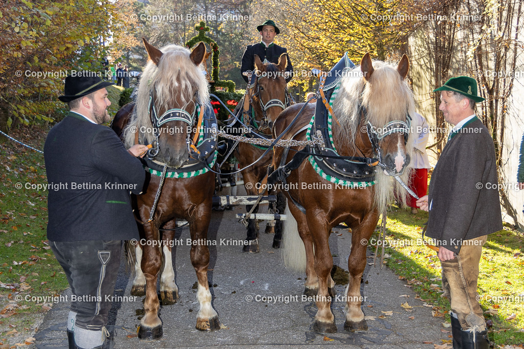 LL24-273 | foto-bettina-krinner - Realisiert mit Pictrs.com