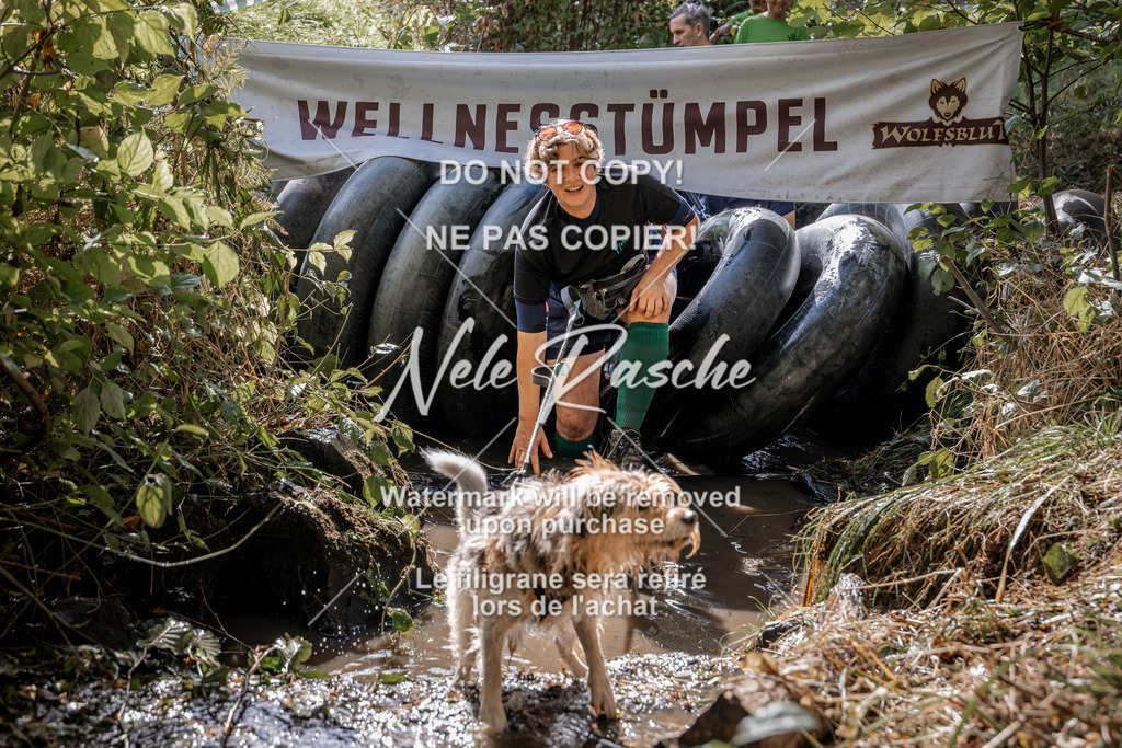 nelerasche_Hunsrück2026_Sa1400-1500_11 | nelerasche
