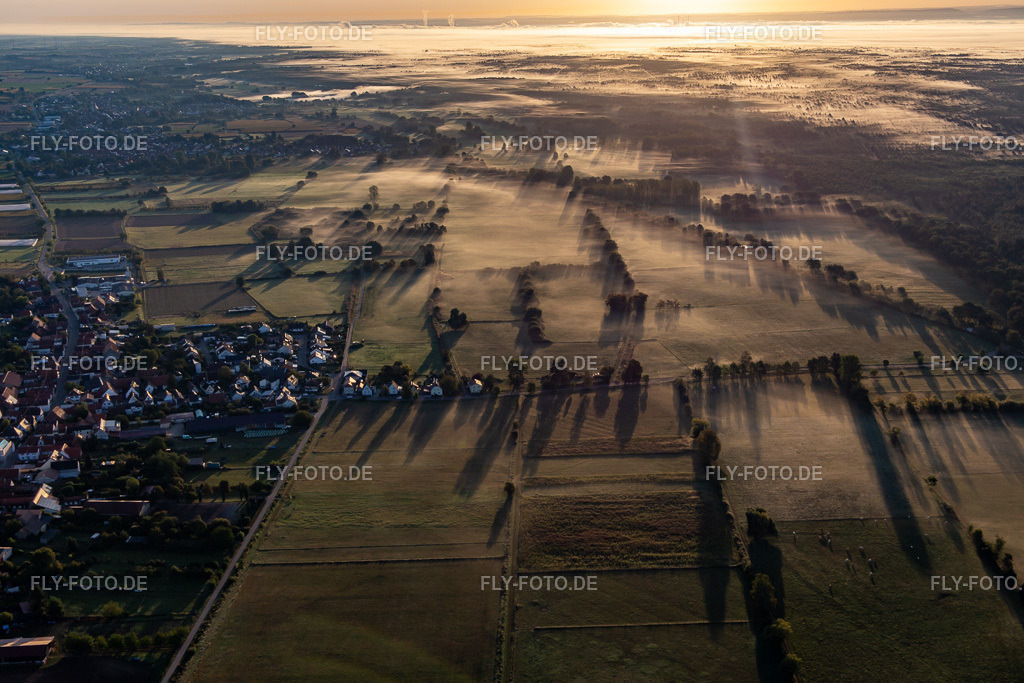 Viehstrich im Morgennebel | Luftbild: Viehstrich im Morgennebel in Schweighofen im Bundesland Rheinland-Pfalz in Deutschland. Foto: IMG_138813.jpg vom 24.09.2023 durch ©2025 Werner Riehm fly-foto.de/copyright - Realisiert mit Pictrs.com
