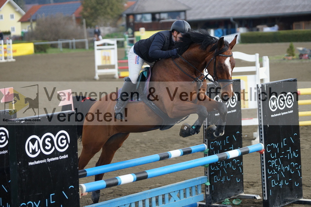 DSC00452 | equestrian-live-com