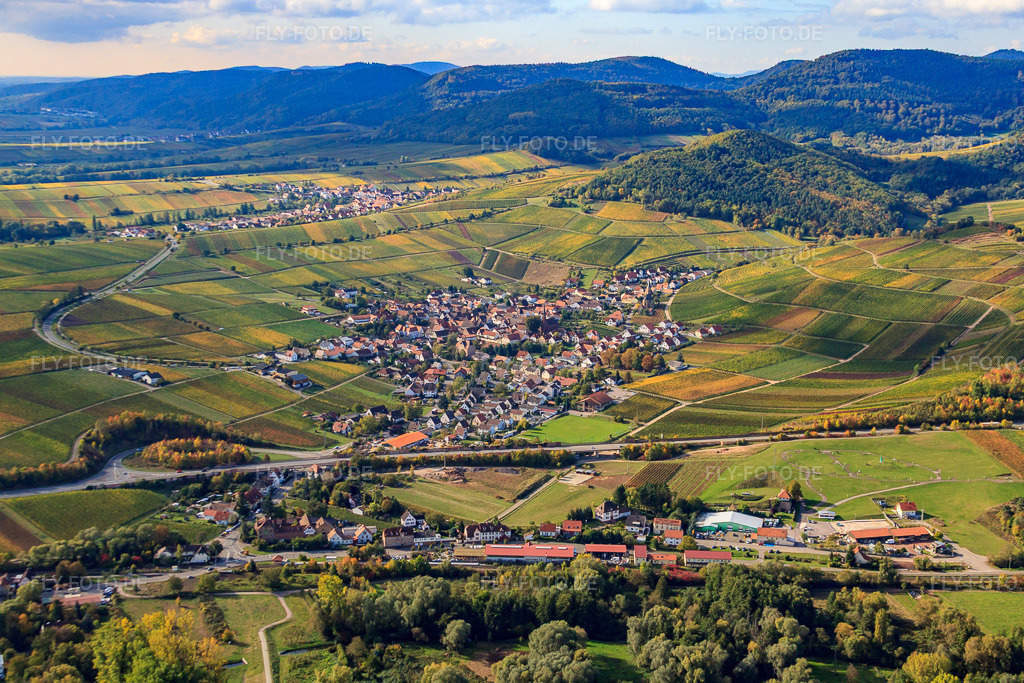 Luftbild: Ortsansicht von Norden in Birkweiler im Bundesland Rheinland-Pfalz in Deutschland. Foto: IMG_22299.jpg vom 15.10.2009 durch Werner Riehm/FLY-FOTO.de