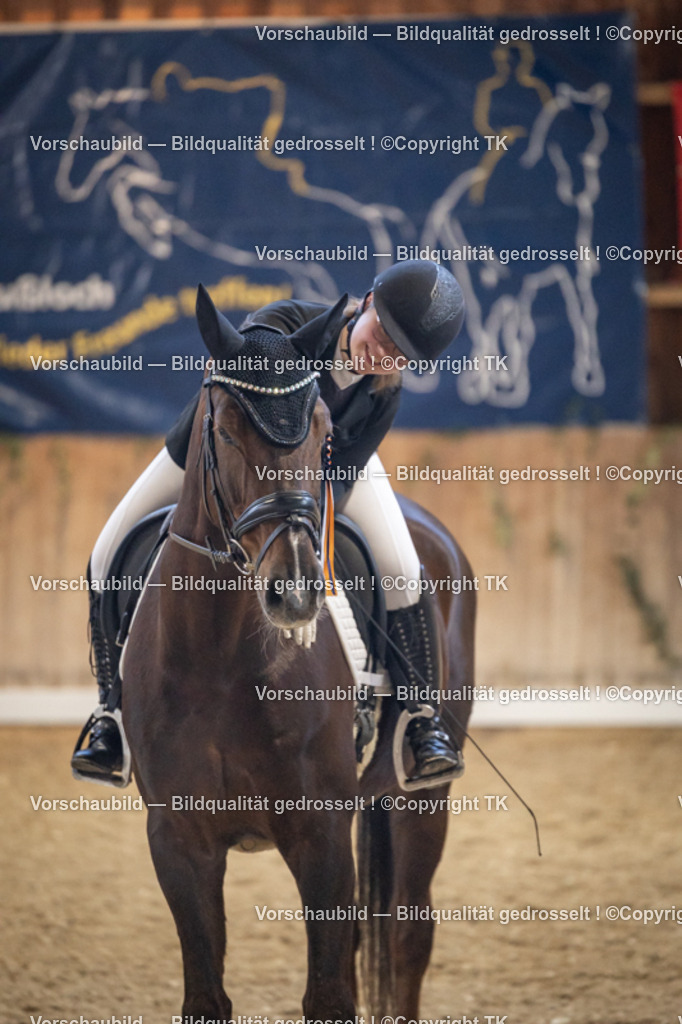 _D5A1566 | Emotionale Pferde- & People-Fotografie rund um Heidelberg, Leimen & Umgebung. Natürliche Fotos von Pferd, Mensch & Familie. Jetzt Termin sichern!