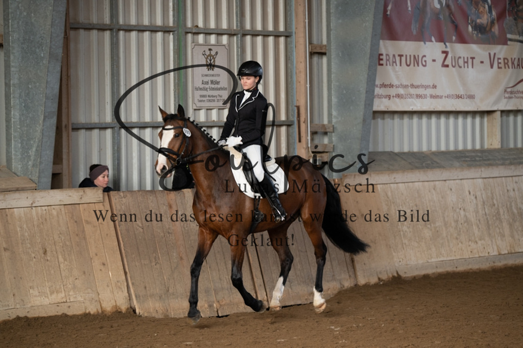 A7V05356 | Pferdefotograf