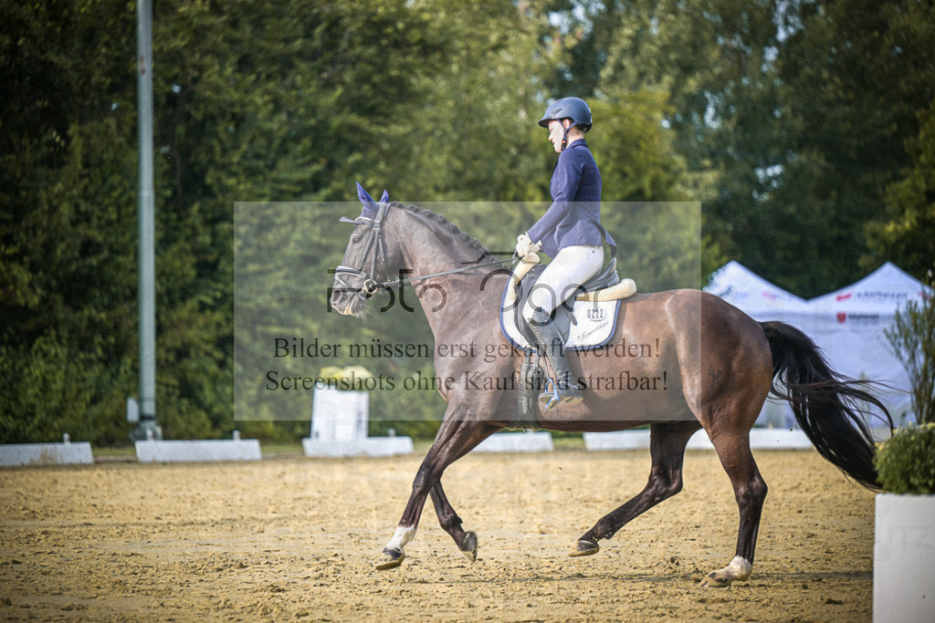 DOS_0560 | Entdecke hochwertige Reitturnierfotos von Foto Oger. Professionell, emotional und authentisch – jetzt Lieblingsmomente im Shop bestellen.Deutschlandweite Turnierfotografie. - Realisiert mit Pictrs.com