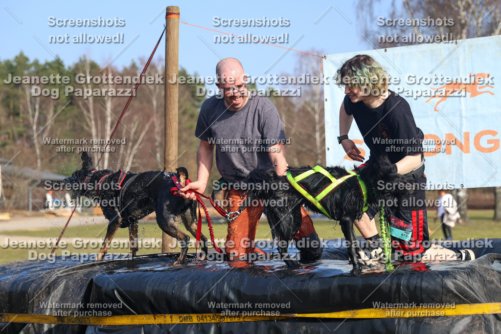 Dog Paparazzi - Strongdog North Mrz26-3361 | Dog Paparazzi Jeanette Grottendiek Fotografie & Videografie - Realisiert mit Pictrs.com