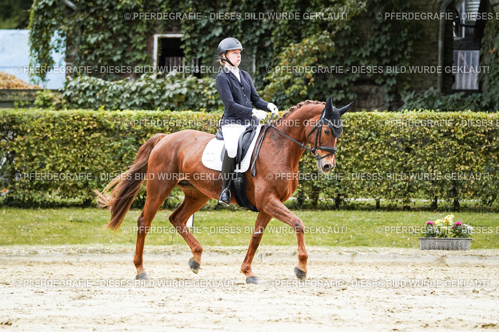 DSC07313 | Pferdegrafie