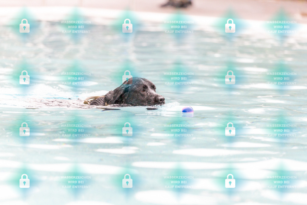 _HP_7331_1000o | HetPix, HetPix Fotodesign, Fotografie, Fotodesign, Webshop, Sportfotografie, Portraitfotografie, Onlineshop, Sportfotografie, Polch, Motorsportfotografie, Eventfotografie