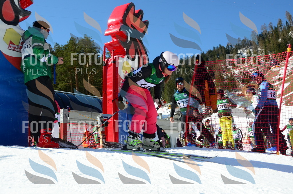 C6242 | holidayphoto