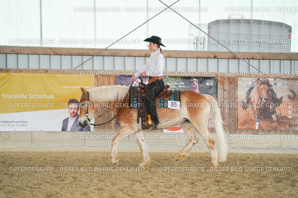 DSC01186 | Pferdegrafie