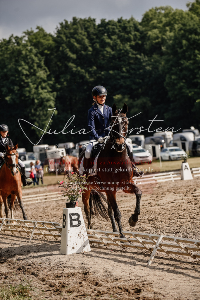 DSC_9178 | Pferde- und Turnierfotografie in Westsachsen. Pferdeportraits, Auftragszeichnungen und intuitive Kunst.