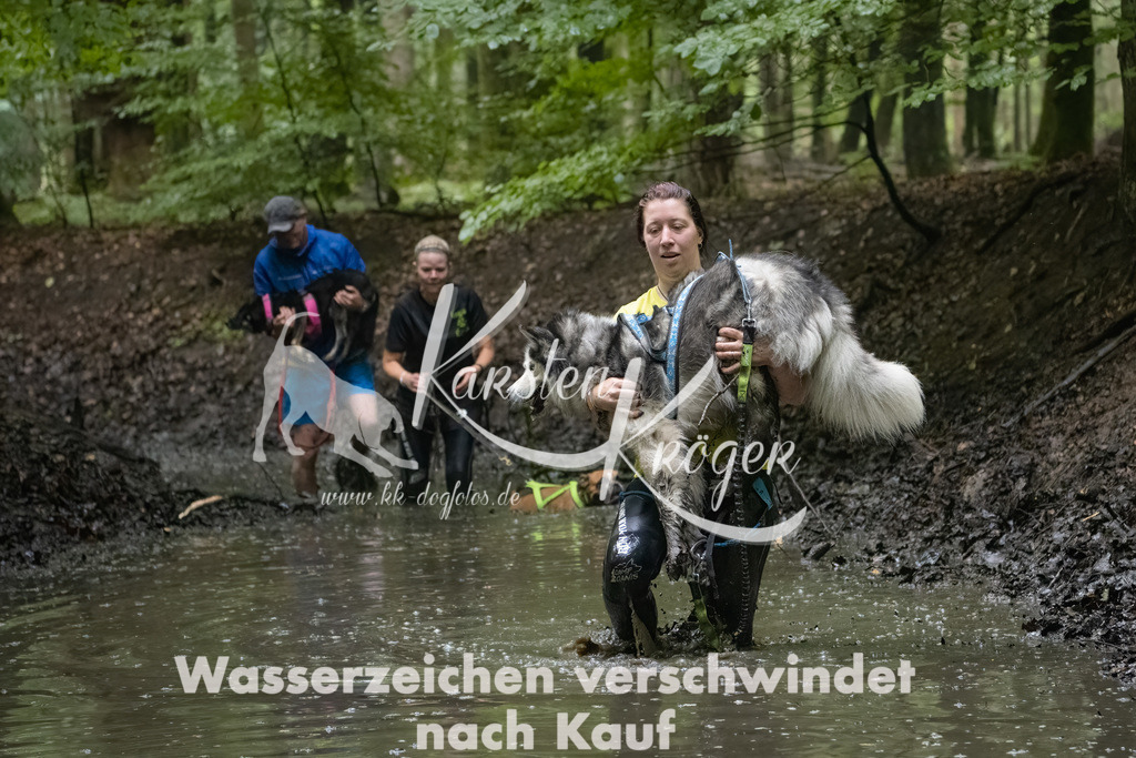 0956_ZZ91531-Bearbeitet | kk-dogfotos