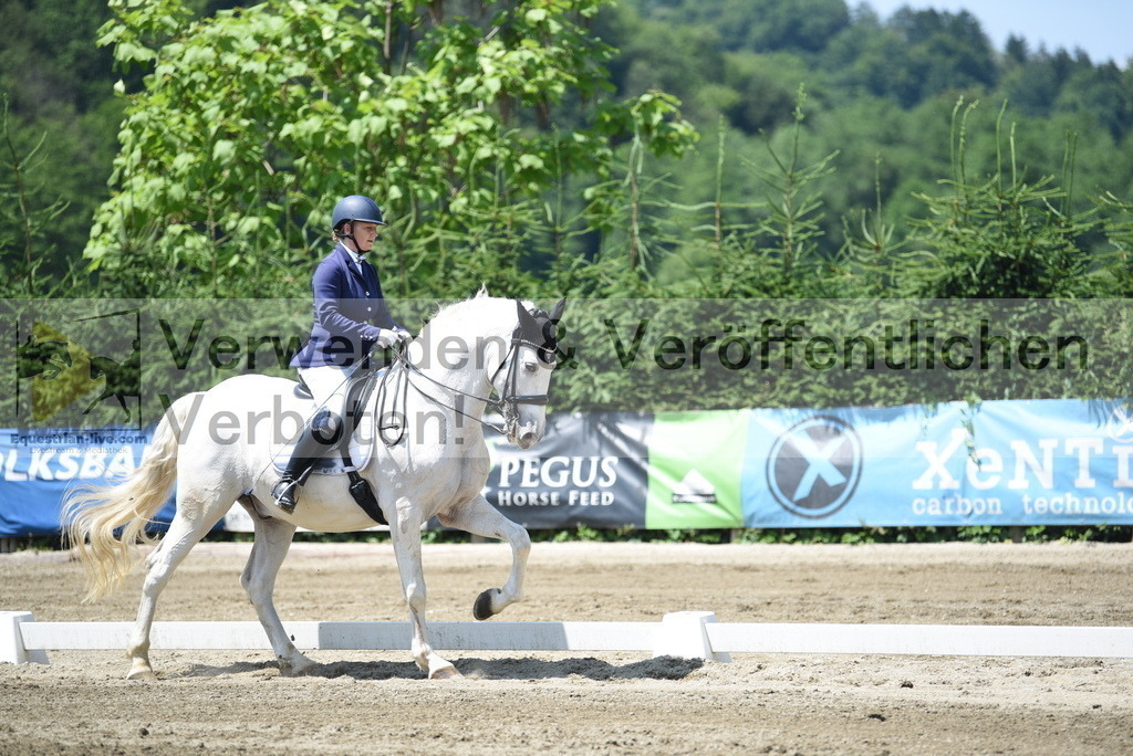 DSC_0308 | equestrian-live-com