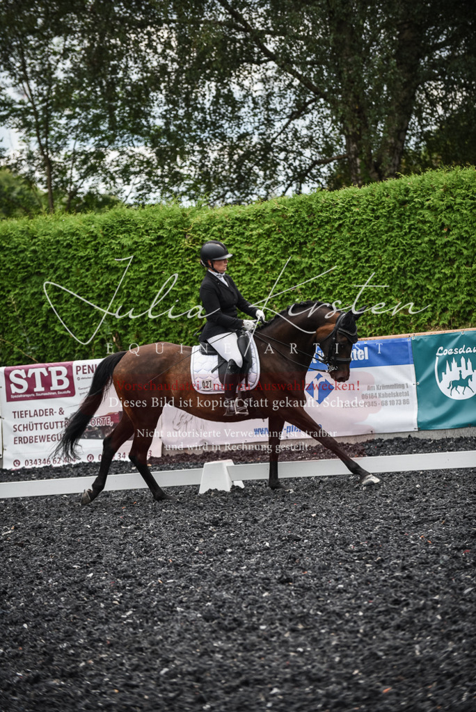DSC_4891 | Pferde- und Turnierfotografie in Westsachsen. Pferdeportraits, Auftragszeichnungen und intuitive Kunst.
