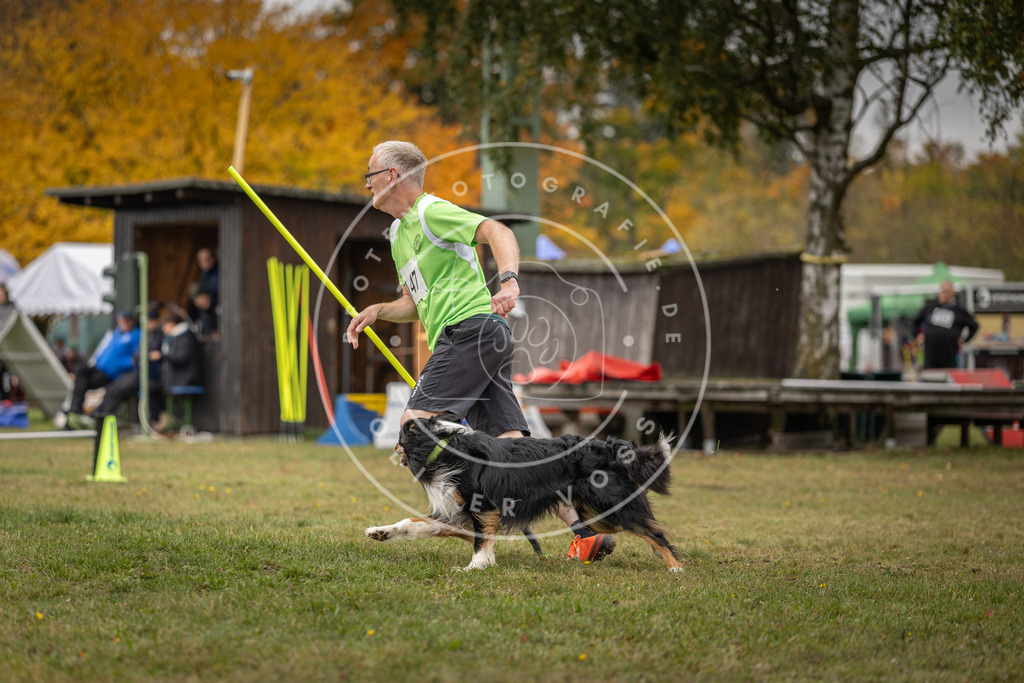 Pfotenfotografie_DV3A6236 | Hundefotografie, Tierfotograf, Pfotenfotografie, Fotoshooting Hund, Hunde Portrait, Hundesport, Hundeportraits, Heideshooting, Hunde, Sportfotograf, Hundefotograf, Turnierhundsport, THS,  - Realisiert mit Pictrs.com