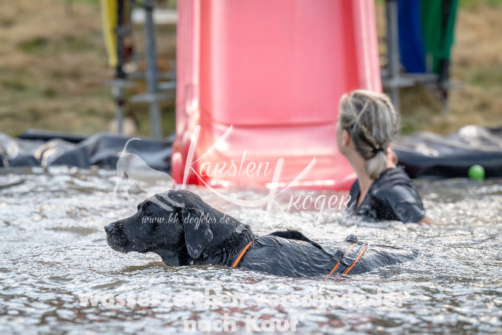 1431_ZZ90583 | kk-dogfotos