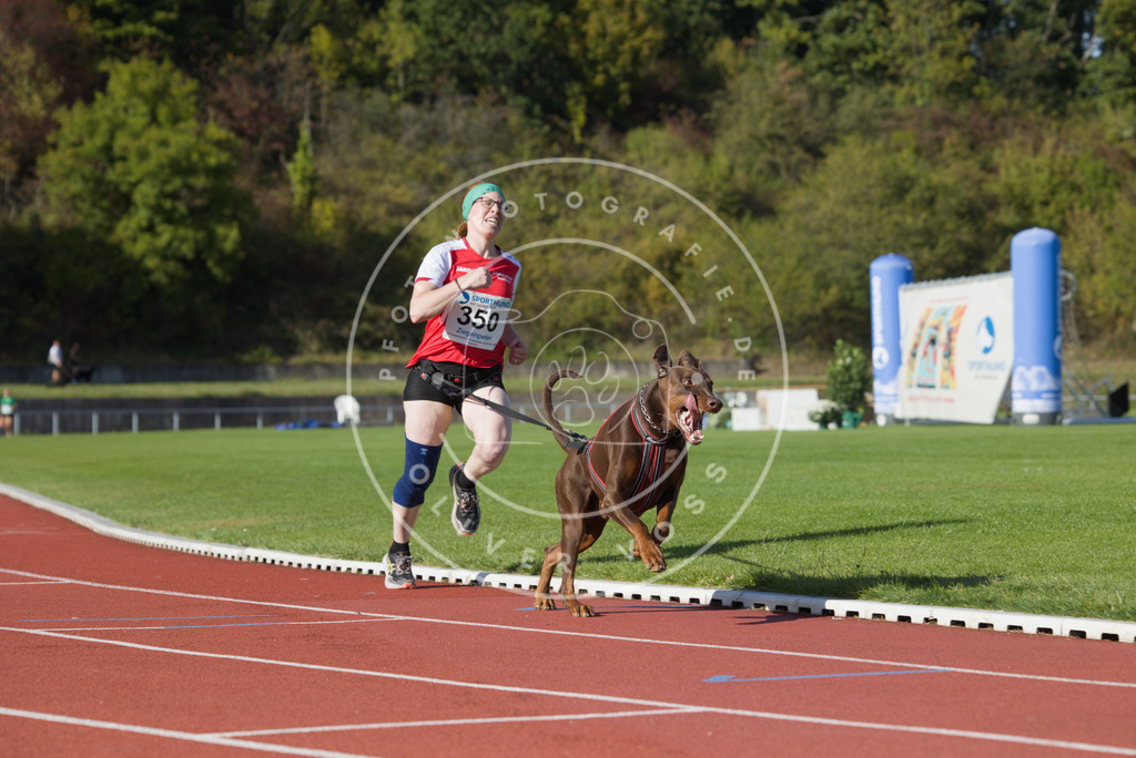 0L8A9531 | Hundefotografie, Tierfotograf, Pfotenfotografie, Fotoshooting Hund, Hunde Portrait, Hundesport, Hundeportraits, Heideshooting, Hunde, Sportfotograf, Hundefotograf, Turnierhundsport, THS,  - Realisiert mit Pictrs.com