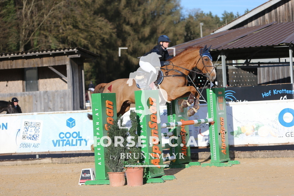 DL2Q3379 | Willkommen bei Brunnmayr - Design & Fotografie – Ihrem Spezialisten für Reitturniere und Pferdeveranstaltungen in Oberösterreich, Salzburg und Bayern! Seit über 17 Jahren sind wir leidenschaftlich dabei.