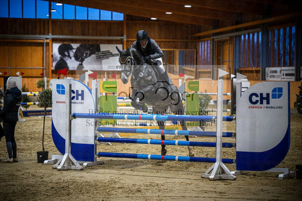 DOS_0719 | Entdecke hochwertige Reitturnierfotos von Foto Oger. Professionell, emotional und authentisch – jetzt Lieblingsmomente im Shop bestellen.Deutschlandweite Turnierfotografie. - Realisiert mit Pictrs.com