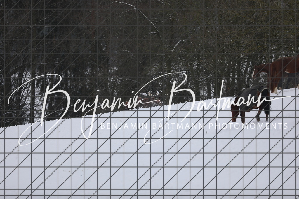 AZ2A3361 | Benjamin Bartmann Photomoments