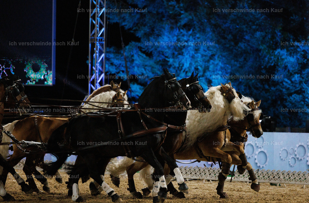 FHClassics-297 | working equitationturnier fotograf videograf stoibphotography marixx film working equitation deutschland reitsport turnierfotografie eventfotografie equestrian events