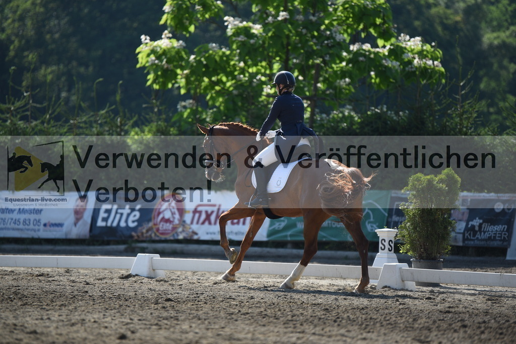 DSC_2455 | equestrian-live-com