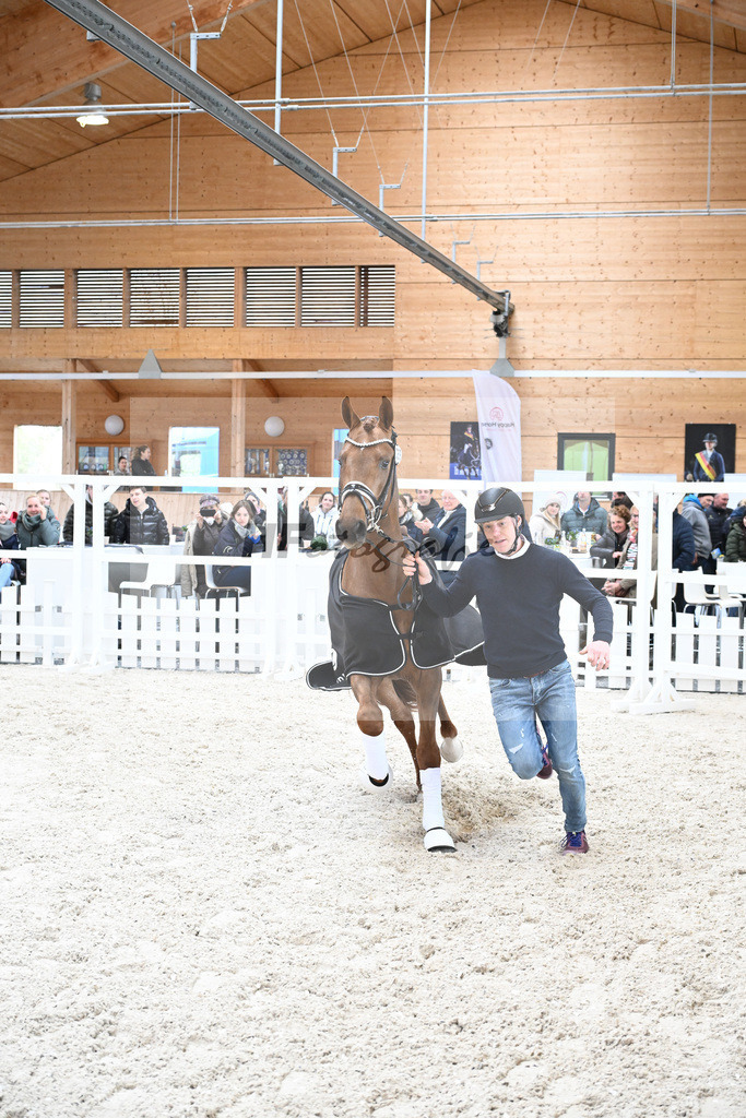 Kat-Nr. 69 Valerio LK v. Va Bene_Kloessinger_7241525 | hf-fotografie - Realisiert mit Pictrs.com