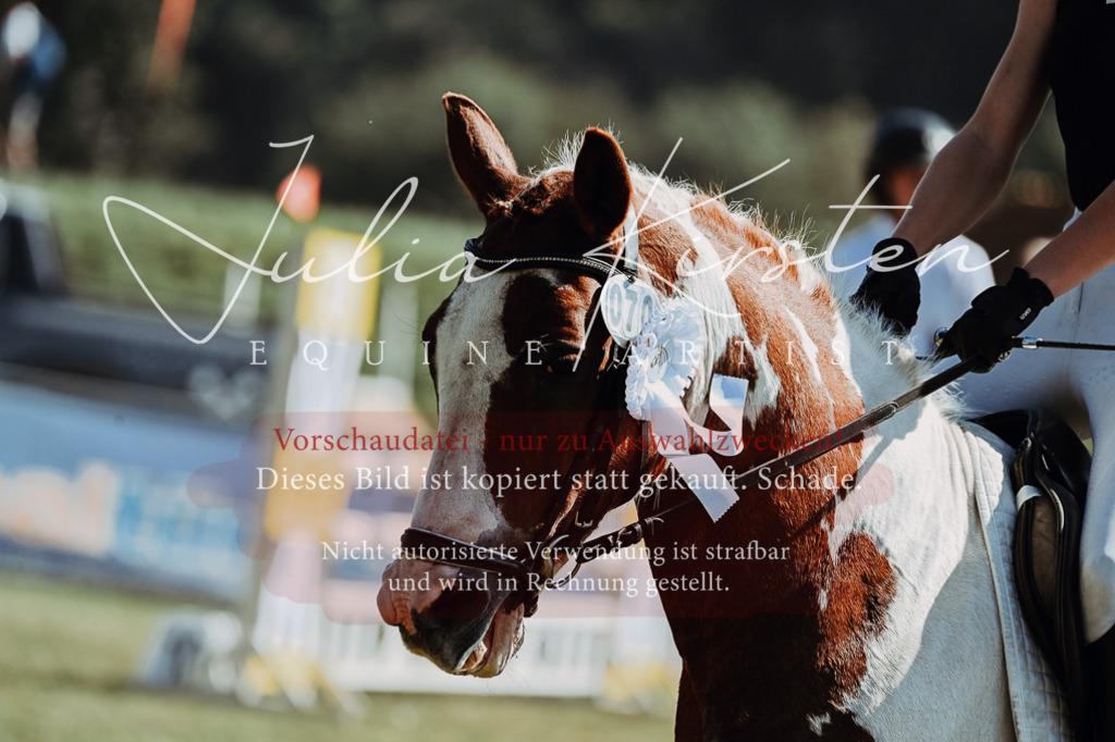 DSC_6248 | Pferde- und Turnierfotografie in Westsachsen. Pferdeportraits, Auftragszeichnungen und intuitive Kunst.