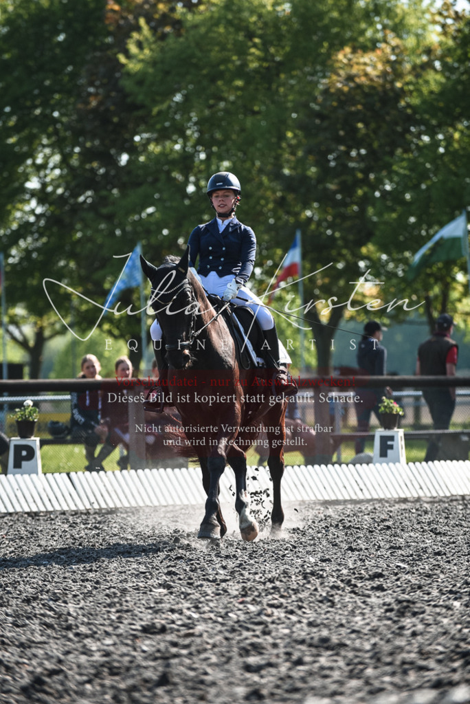 DSC_8563 | Pferde- und Turnierfotografie in Westsachsen. Pferdeportraits, Auftragszeichnungen und intuitive Kunst.