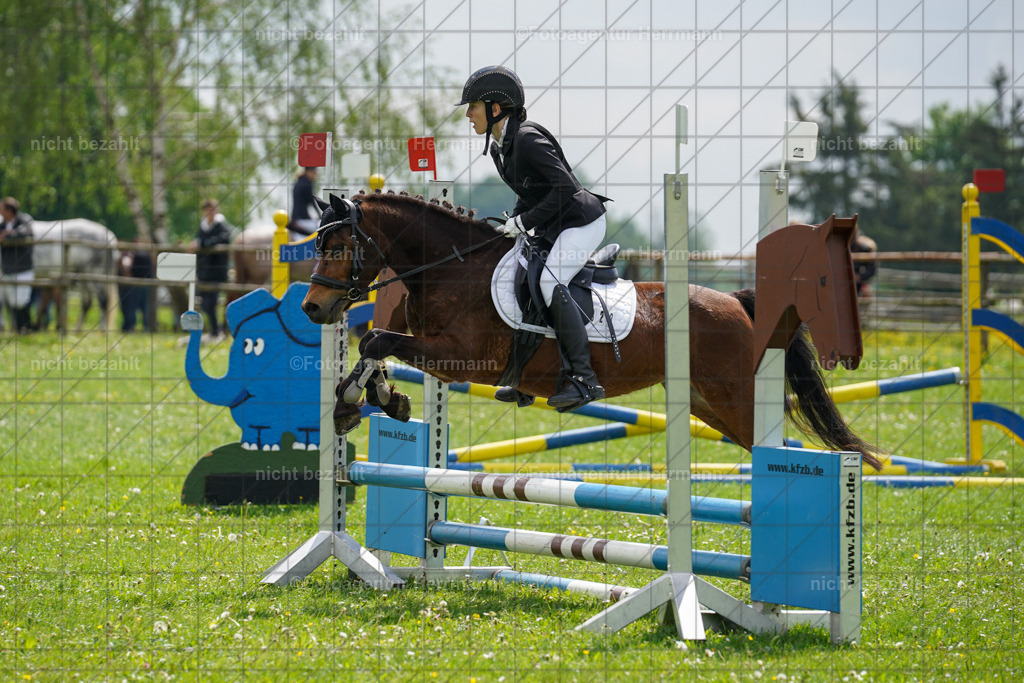20240509-FAH02353 | Turnierbilder der Turnierfotografen Bayern, Pferdesport Fotografie, Reitsportbilder, Turnier Landberg am Lech, Turnierbilder bayern, Fotoagentur Herrmann