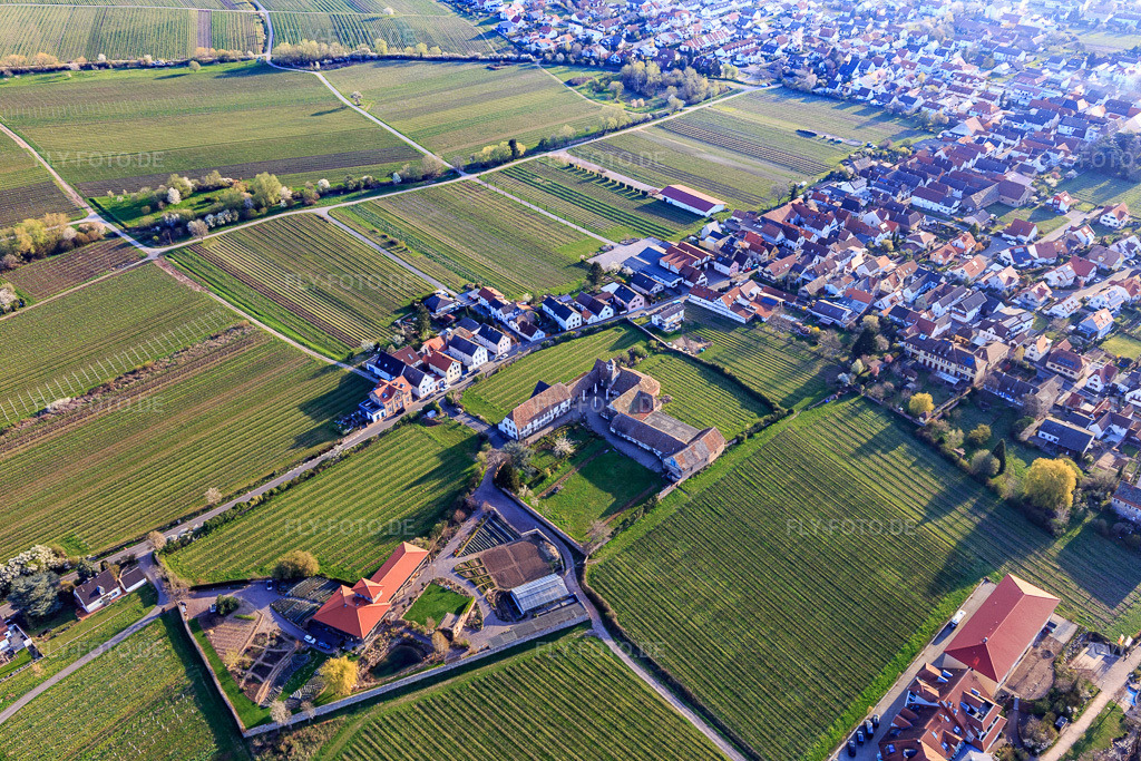 Luftbild: Gärtnerei ams Kloster Heilsbruck in Edenkoben im Bundesland Rheinland-Pfalz in Deutschland. Foto: IMG_126337.jpg vom 04.04.2021 durch Werner Riehm/FLY-FOTO.de