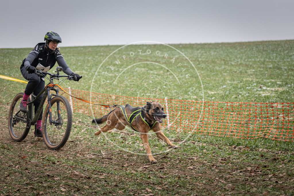 Pfotenfotografie_DV3A1557 | Hundefotografie, Tierfotograf, Pfotenfotografie, Fotoshooting Hund, Hunde Portrait, Hundesport, Hundeportraits, Heideshooting, Hunde, Sportfotograf, Hundefotograf, Turnierhundsport, THS,  - Realisiert mit Pictrs.com
