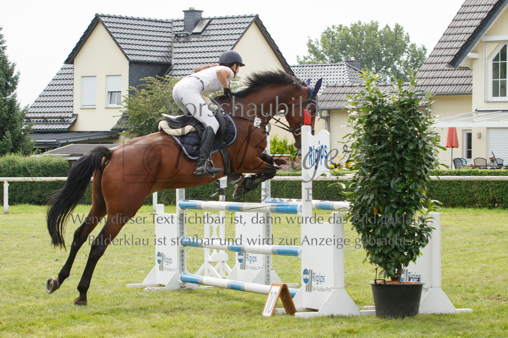 IMG_3083 | P. Berger Fotografie - Realisiert mit Pictrs.com